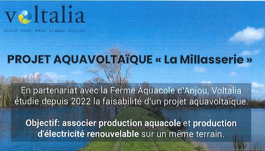 affiche