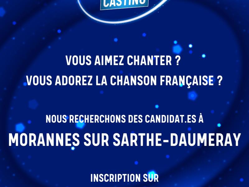 Casting "N'oubliez pas les paroles"